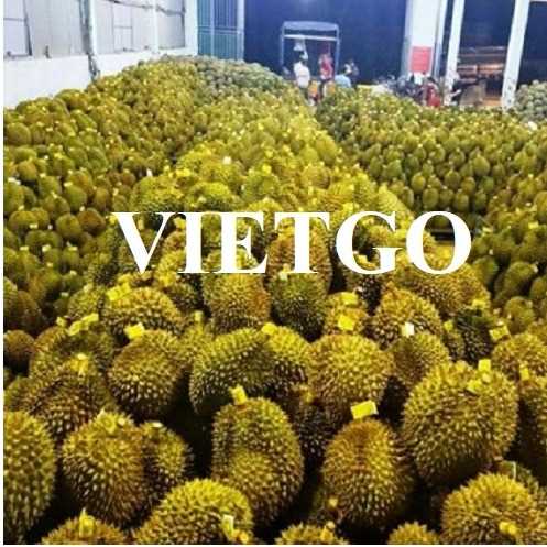 Thương vụ xuất khẩu sầu riêng sang thị trường Trung Quốc