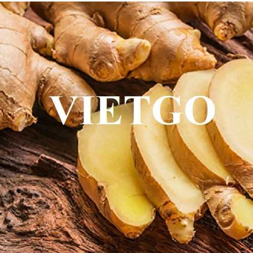 Thương vụ xuất khẩu gừng đến từ vị khách hàng người Indonesia 