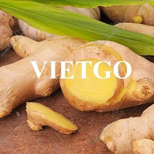 Cơ hội hợp tác xuất khẩu gừng tươi sang thị trường Trung Quốc