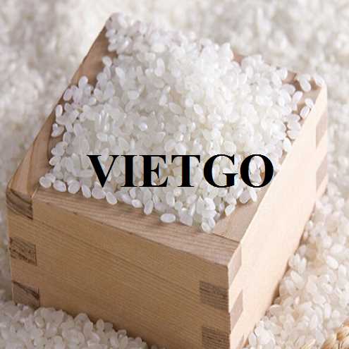  Cơ hội xuất khẩu gạo tấm đến từ một doanh nghiệp tại Đức
