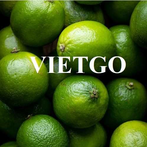 Cơ hội hợp tác xuất khẩu chanh đến thị trường UAE