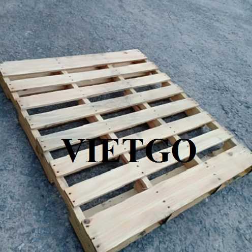Thương vụ xuất khẩu pallet gỗ và pallet nhựa sang thị trường Oman