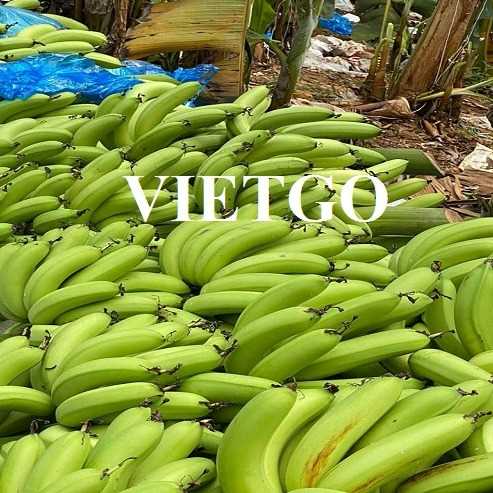 Cơ hội hợp tác xuất khẩu chuối sang thị trường Trung Quốc