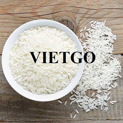 Cơ hội hợp tác xuất khẩu gạo cùng vị khách hàng đến từ Ấn Độ 