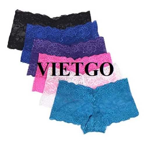 Cơ hội xuất khẩu đồ lót nữ sang thị trường Brazil và khu vực Trung Đông