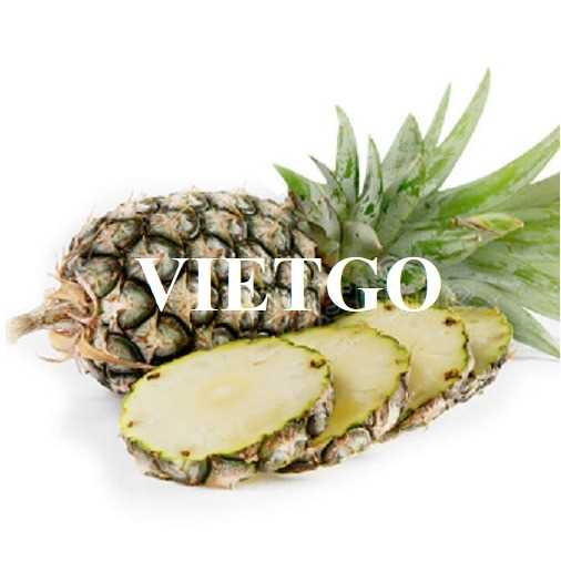 Thương vụ xuất khẩu dứa tươi đến từ vị khách hàng người Thái Lan