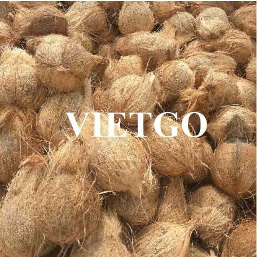 Thương vụ hợp tác xuất khẩu dừa khô sang thị trường UAE