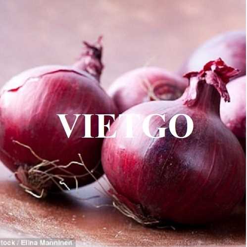 Cơ hội hợp tác xuất khẩu hành tím đến thị trường Ấn Độ