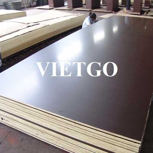 Cơ hội xuất khẩu gỗ dán phủ phim sang thị trường Ấn Độ