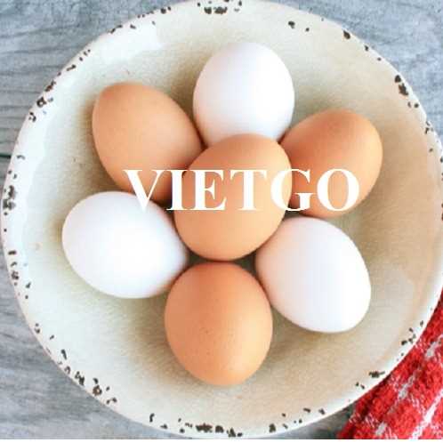 Cơ hội hợp tác xuất khẩu trứng sang thị trường Hy Lạp