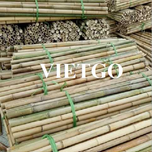 Thương vụ xuất khẩu gậy tre sang thị trường Ấn Độ
