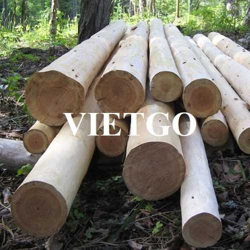 Cơ hội xuất khẩu gỗ dầu tròn sang thị trường Ấn Độ