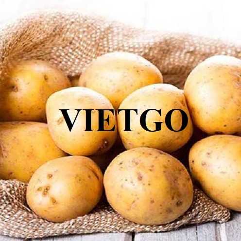 Thương vụ xuất khẩu khoai tây đến từ vị khách hàng người Ả Rập Xê Út 