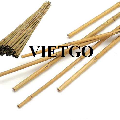 Cơ hội xuất khẩu gậy tre đến từ vị khách hàng người UAE