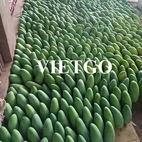 Thương vụ hợp tác xuất khẩu xoài sang thị trường Thổ Nhĩ Kỳ