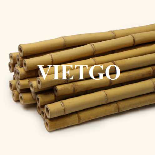 Cơ hội xuất khẩu gậy tre sang thị trường Bangladesh