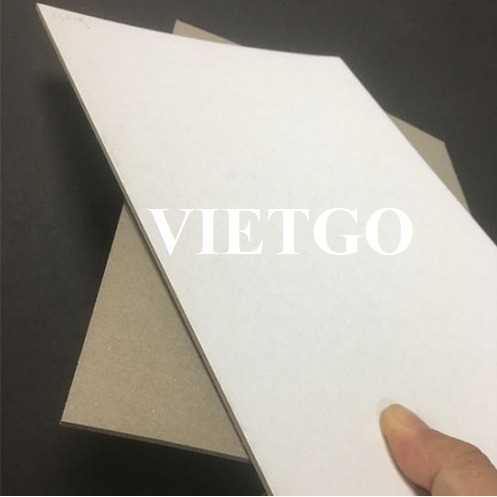 Cơ hội hợp tác xuất khẩu giấy duplex đến từ vị khách hàng người Hoa Kỳ
