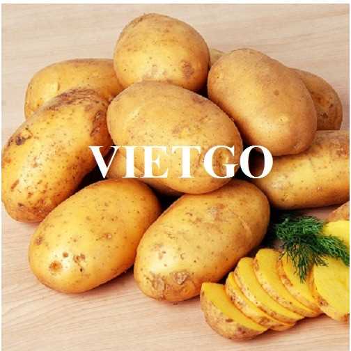 Cơ hội hợp tác xuất khẩu khoai tây đến thị trường UAE