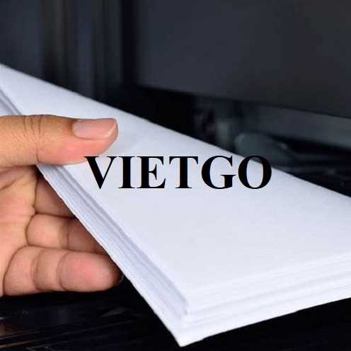 Cơ hội xuất khẩu giấy A4 sang thị trường Nga