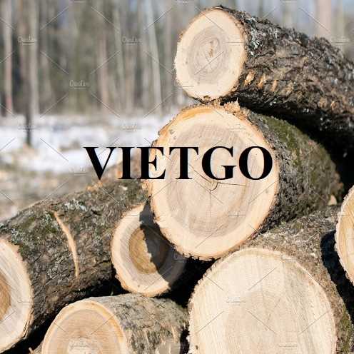 Cơ hội xuất khẩu gỗ tần bì sang thị trường Lebanon