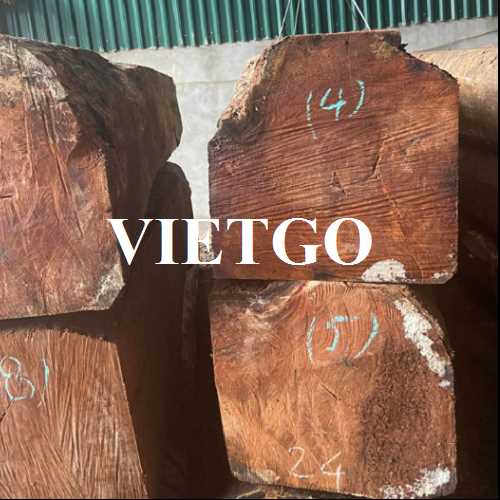 Thương vụ xuất khẩu mặt hàng gỗ gõ xẻ hộp sang thị trường Việt Nam