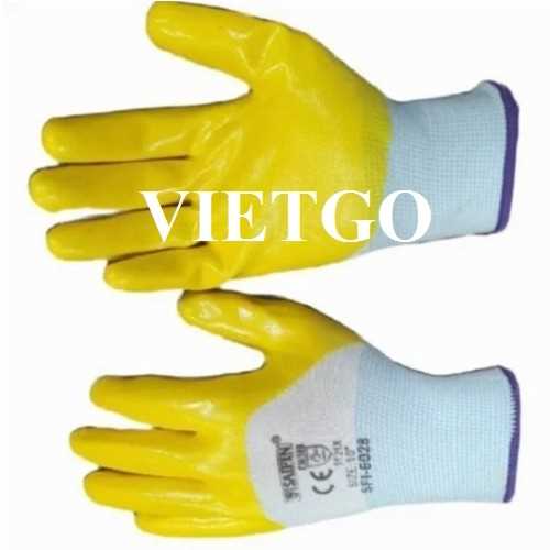 Cơ hội xuất khẩu găng tay sang thị trường Thổ Nhĩ Kỳ