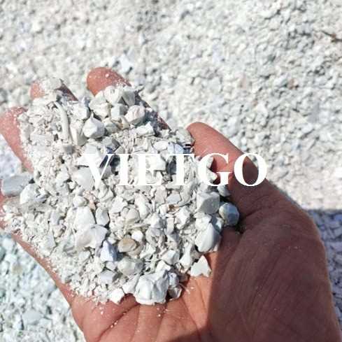 Thương vụ xuất khẩu vụn nhựa PET sang thị trường Ấn Độ