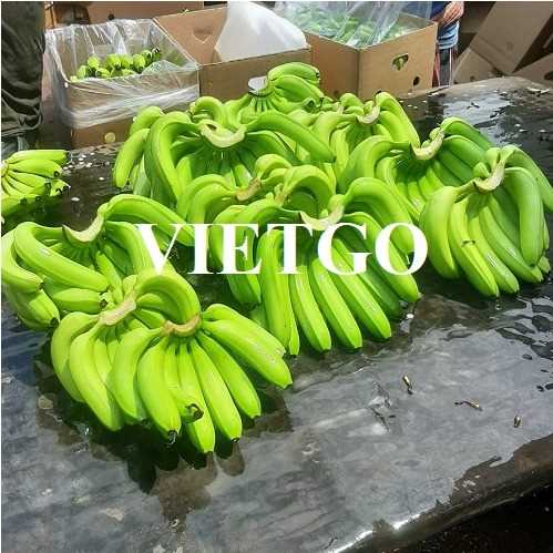 Thương vụ hợp tác xuất khẩu chuối sang thị trường Maldives