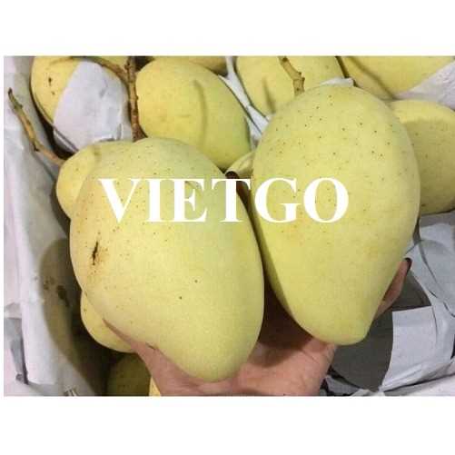 Cơ hội xuất khẩu xoài sang thị trường UAE 