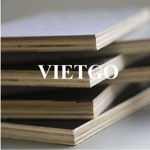 Thương vụ xuất khẩu gỗ dán phủ phim sang thị trường Ấn Độ