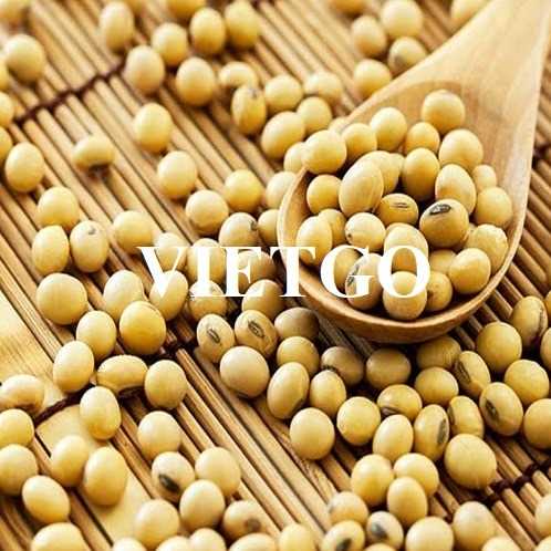 Thương vụ xuất khẩu đậu nành đầy hấp dẫn đến thị trường Tây Ban Nha 