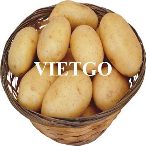 Cơ hội hợp tác xuất khẩu khoai tây sang thị trường UAE
