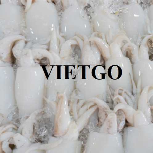 Thương vụ hợp tác xuất khẩu mực nang sang thị trường Hồng Kông