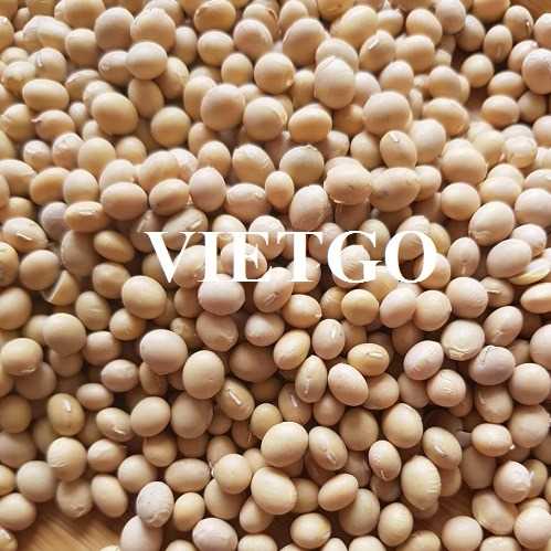 Thương vụ xuất khẩu hạt đậu nành sang thị trường Việt Nam