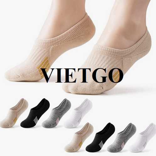 Cơ hội xuất khẩu bít tất sang thị trường Mỹ