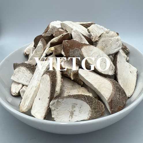 Thương vụ hợp tác xuất khẩu sắn lát sang thị trường Trung Quốc