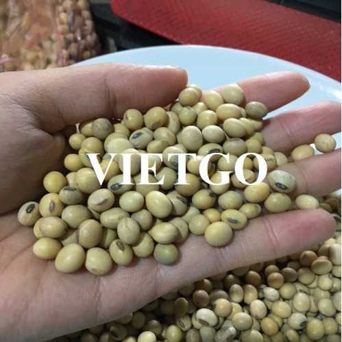 Thương vụ hợp tác xuất khẩu đậu nành sang thị trường Malaysia