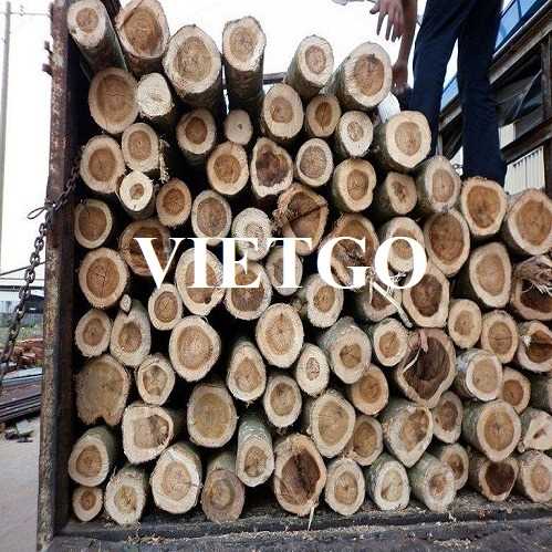 Thương vị xuất khẩu gỗ keo tròn sang thị trường Hà Lan