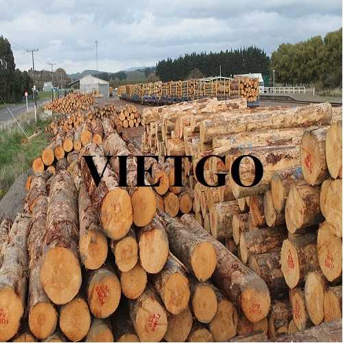 Thương vụ xuất khẩu gỗ thông tròn sang thị trường Malaysia