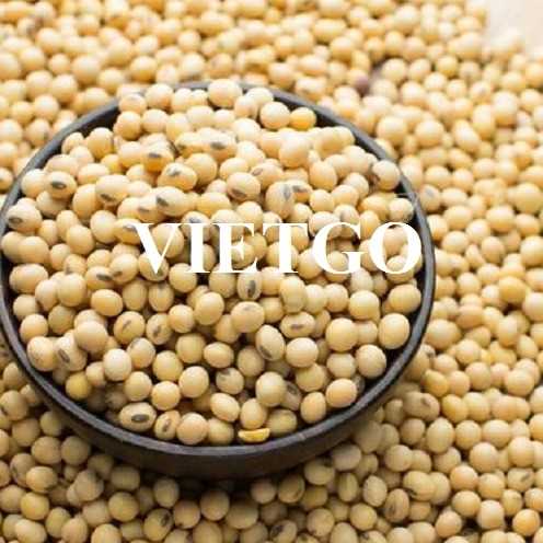 Cơ hội hợp tác xuất khẩu đậu nành đến từ vị khách hàng người Tây Ban Nha