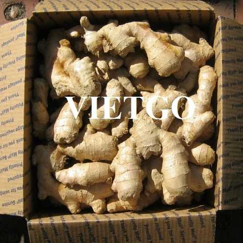 Cơ hội hợp tác xuất khẩu gừng sang thị trường Bangladesh