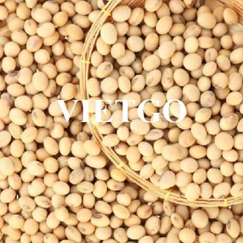 Thương vụ xuất khẩu đậu nành sang thị trường Trung Quốc 