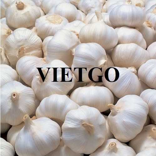 Cơ hội xuất khẩu tỏi sang thị trường Úc