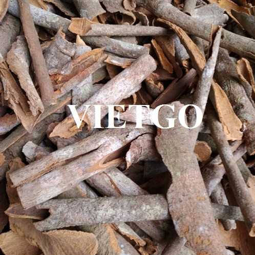 Cơ hội xuất khẩu quế vụn sang thị trường Ấn Độ