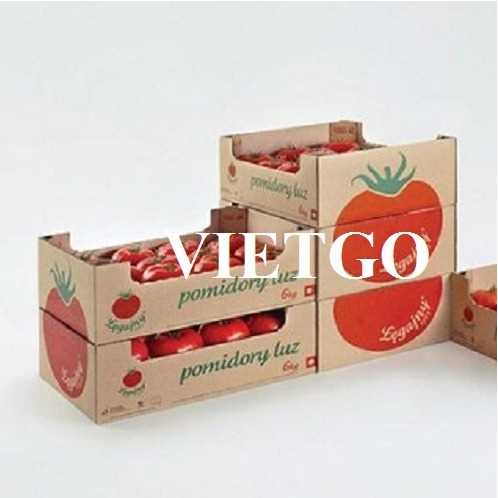 Cơ hội hợp tác xuất khẩu thùng carton với vị khách hàng đến từ Kazakhstan