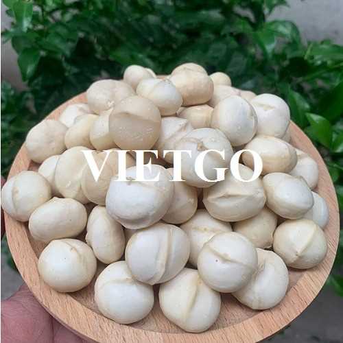 Cơ hội cung cấp hạt macca hàng tháng sang thị trường UAE