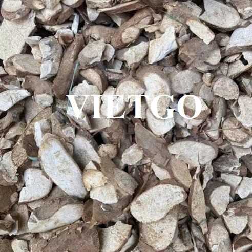 Thương vụ xuất khẩu sắn lát sang thị trường Trung Quốc 