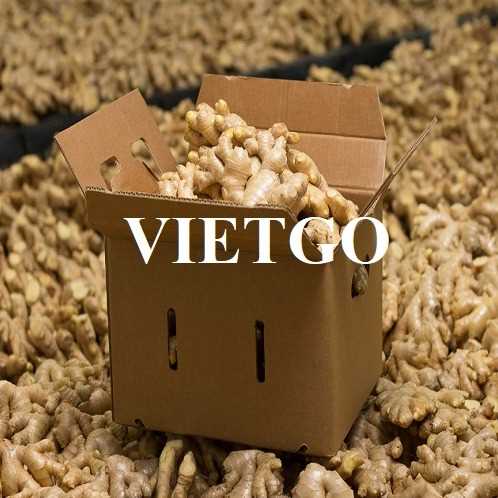 Cơ hội hợp tác xuất khẩu gừng tươi sang thị trường Malaysia