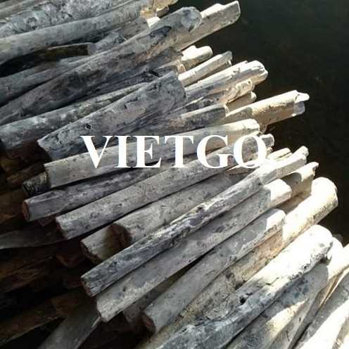 Cơ hội xuất khẩu than trắng sang thị trường Thổ Nhĩ Kỳ