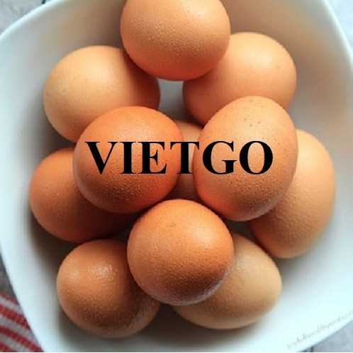 Cơ hội hợp tác xuất khẩu trứng sang thị trường Ai Cập